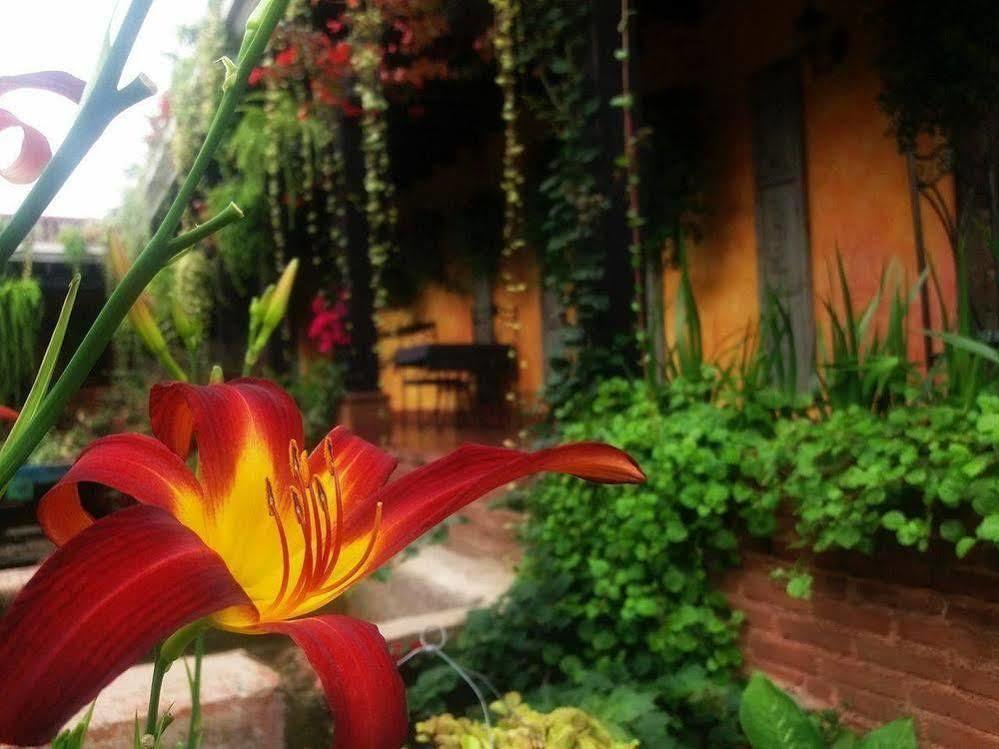 Hotel Eterna Primavera أنتيغوا غواتيمالا المظهر الخارجي الصورة