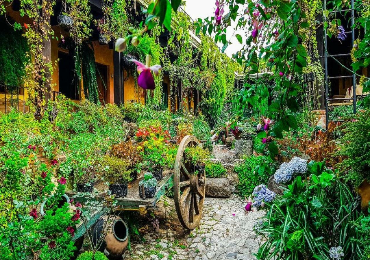 Hotel Eterna Primavera أنتيغوا غواتيمالا المظهر الخارجي الصورة